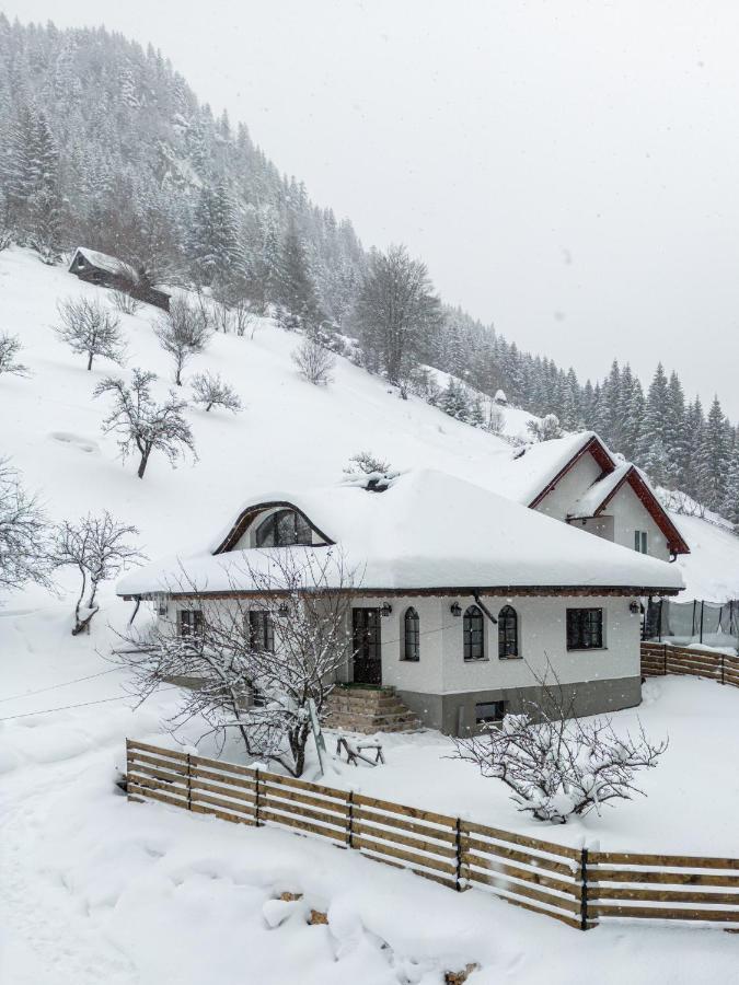 Casa Sena Villa Moeciu De Sus Buitenkant foto
