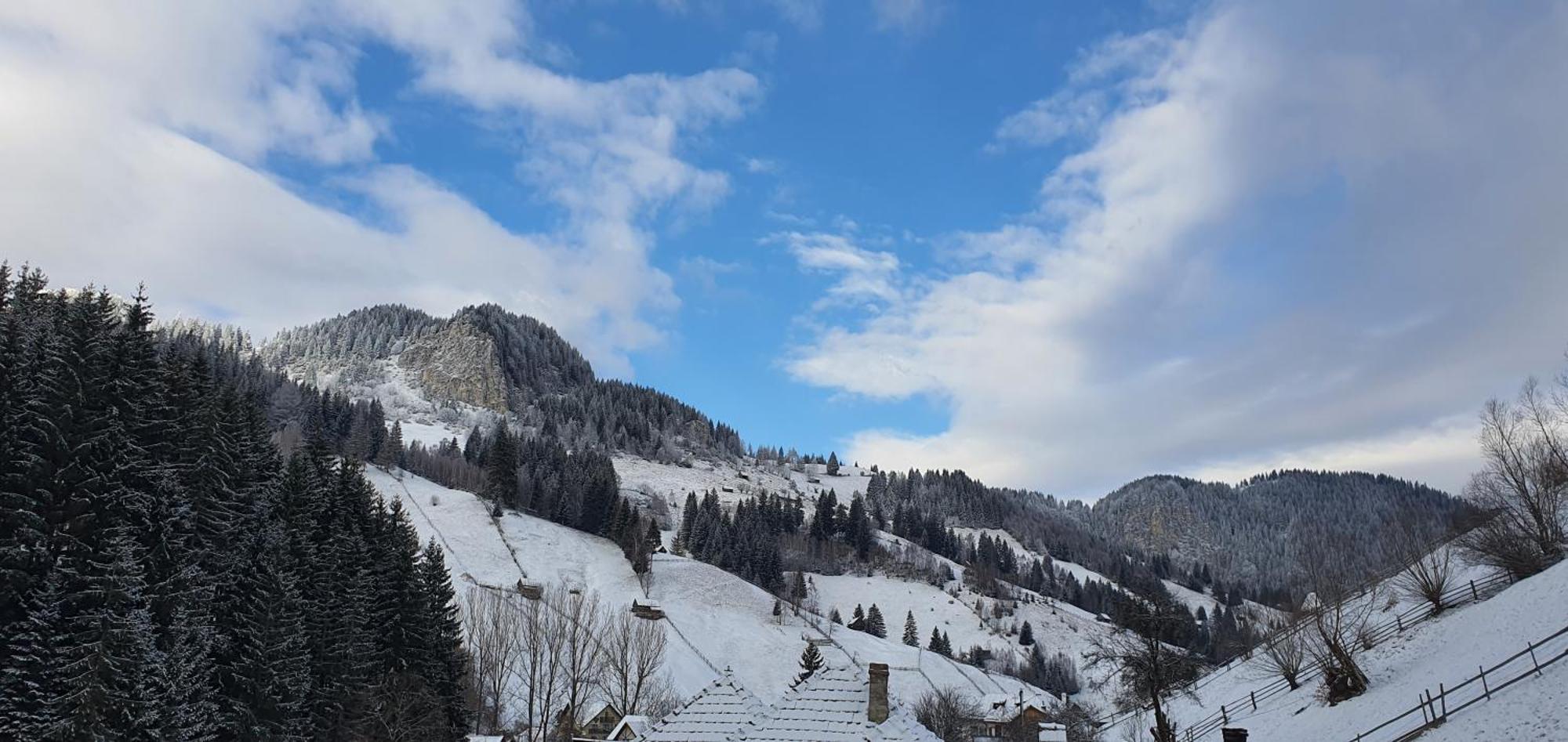 Casa Sena Villa Moeciu De Sus Buitenkant foto